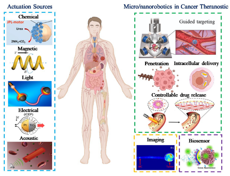 智能微/纳米机器人用于癌症诊疗 智能微/纳米机器人用于癌症诊疗