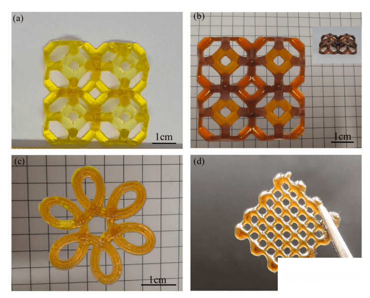 利用DLP和DIW两种打印方法制造出的3D打印样品 利用DLP和DIW两种打印方法制造出的3D打印样品