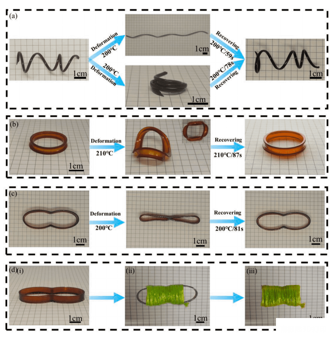 4D打印的结构及形状记忆演示应用 4D打印的结构及形状记忆演示应用