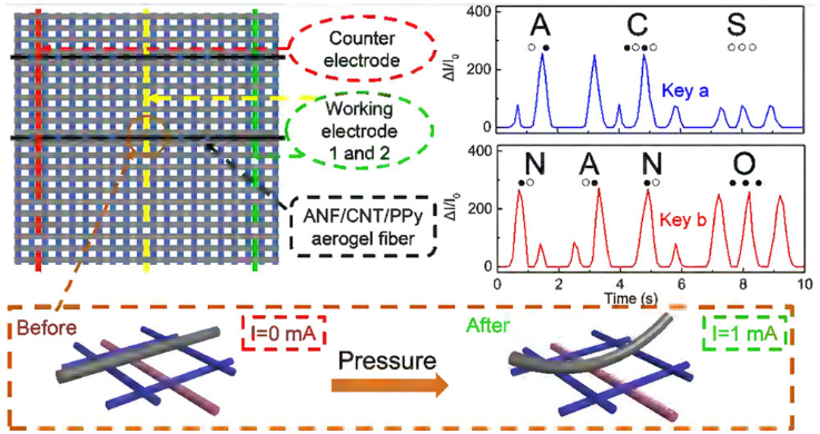 聚吡咯在芳纶纳米纤维和碳纳米管气凝胶纤维上的原位负载作为生理和运动传感器 聚吡咯在芳纶纳米纤维和碳纳米管气凝胶纤维上的原位负载作为生理和运动传感器