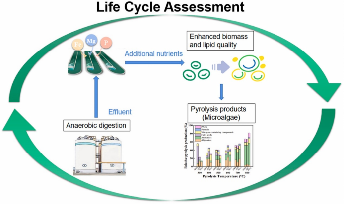 生命周期评价流程图 生命周期评价流程图