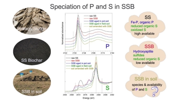 生态中心在废弃生物质资源化及碳足迹分析方面获进展 生态中心在废弃生物质资源化及碳足迹分析方面获进展