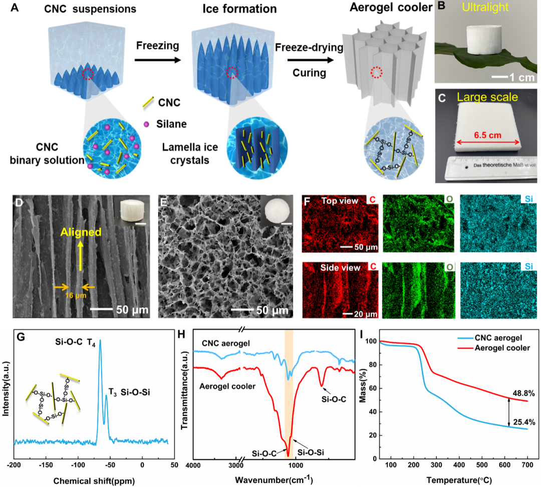 制冷气凝胶的结构和特性 制冷气凝胶的结构和特性