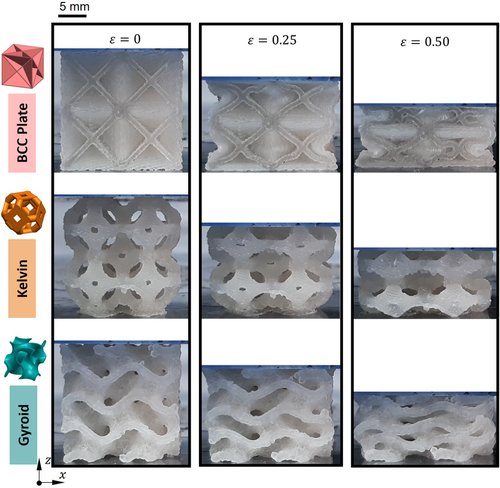 在不同阶段的压缩载荷变化图 在不同阶段的压缩载荷变化图