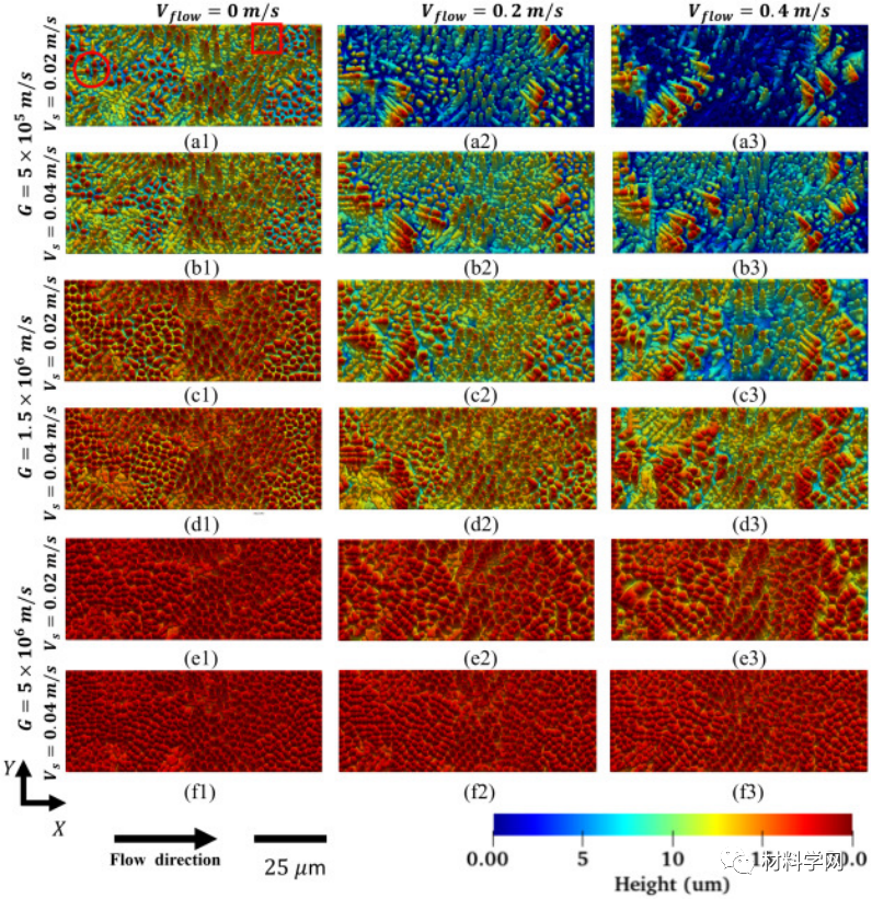 模拟的枝晶结构 模拟的枝晶结构