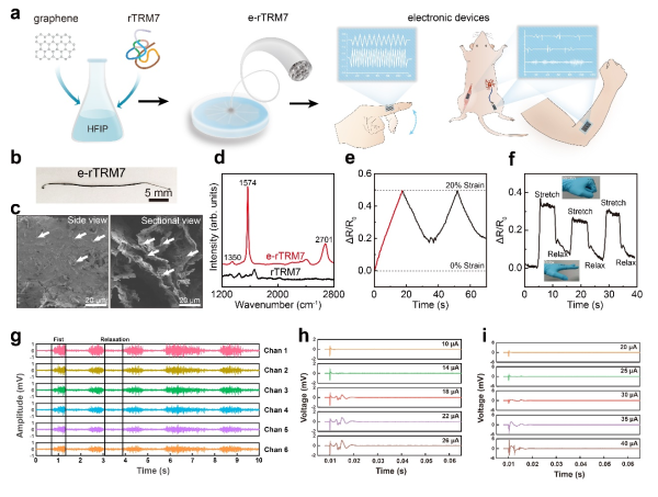 导电e-rTRM7纤维作为应变传感器和电信号传输电极的应用