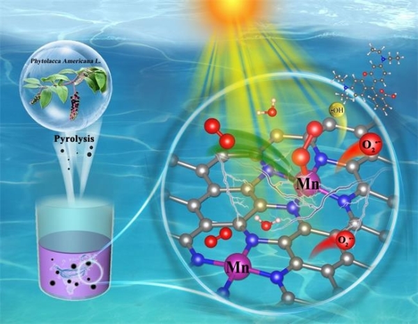 南京土壤所制备出碳基底的锰单原子材料