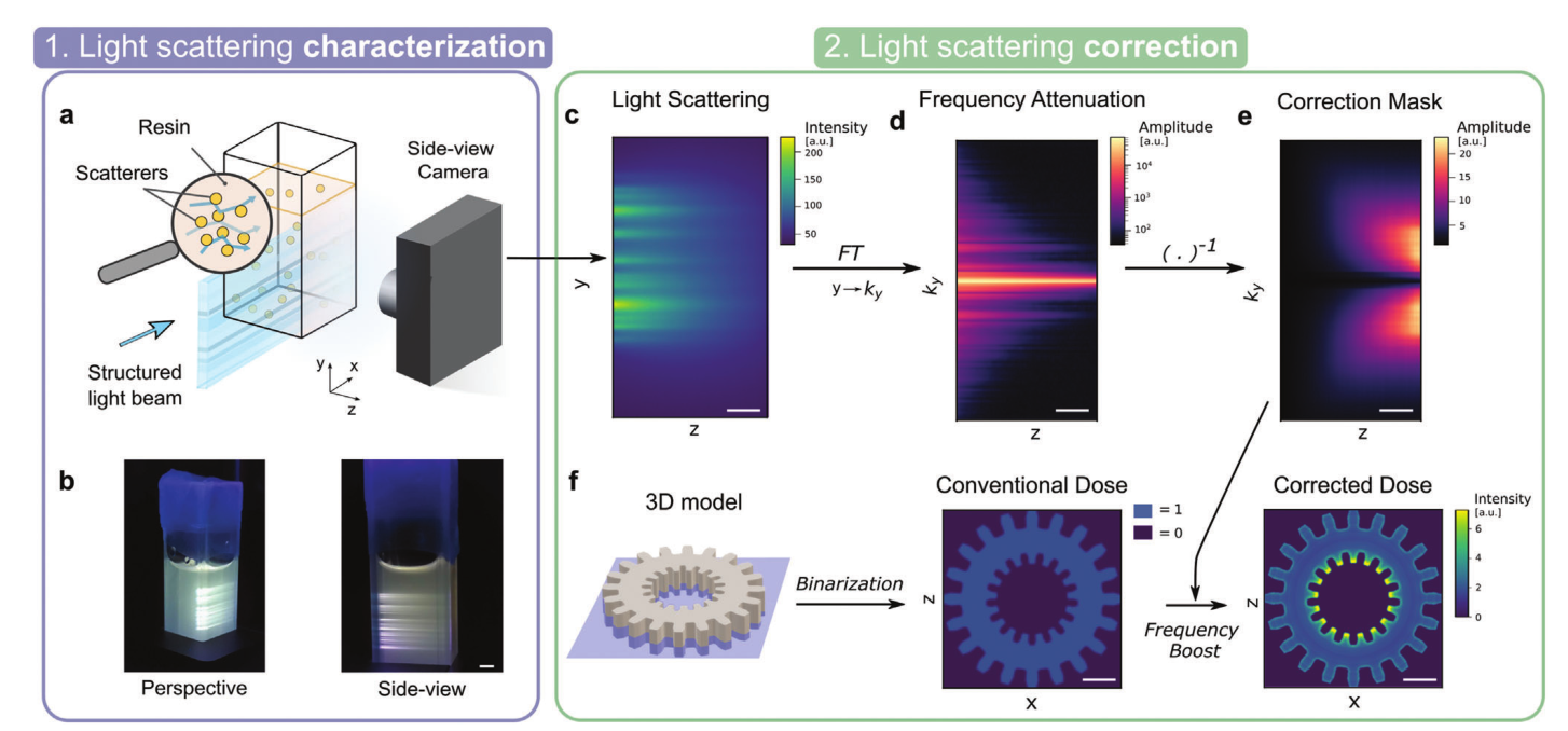 散射校正的断层VAM提高了打印的保真度 散射校正的断层VAM提高了打印的保真度