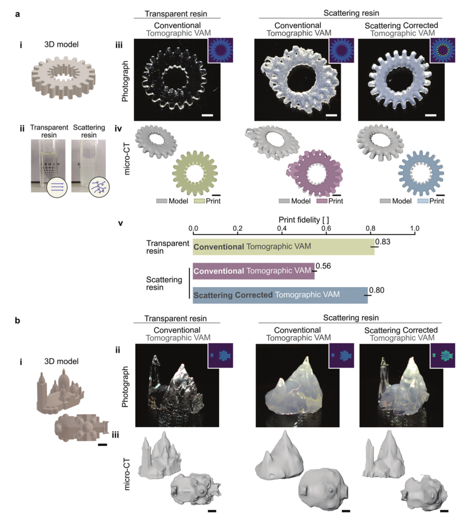 散射校正的断层VAM提高了打印的保真度 散射校正的断层VAM提高了打印的保真度