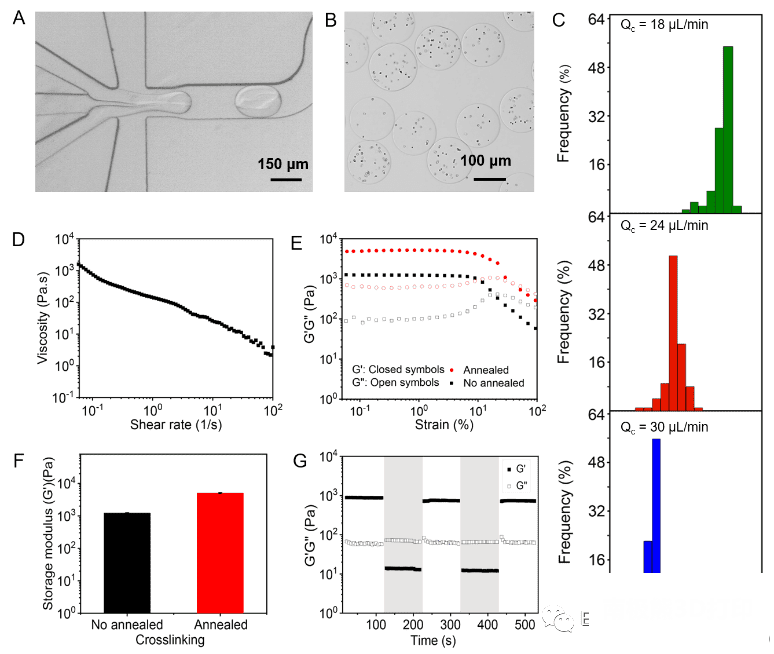 颗粒凝胶的制备和流变表征
