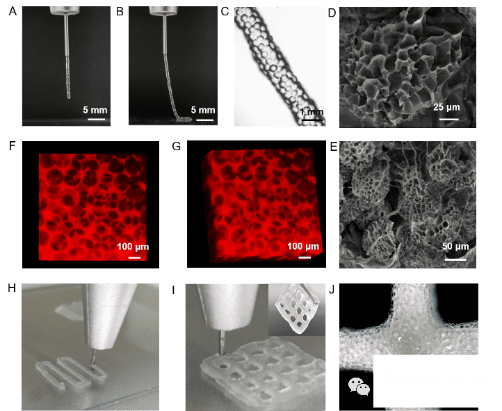 “阻塞”颗粒凝胶的3D打印
