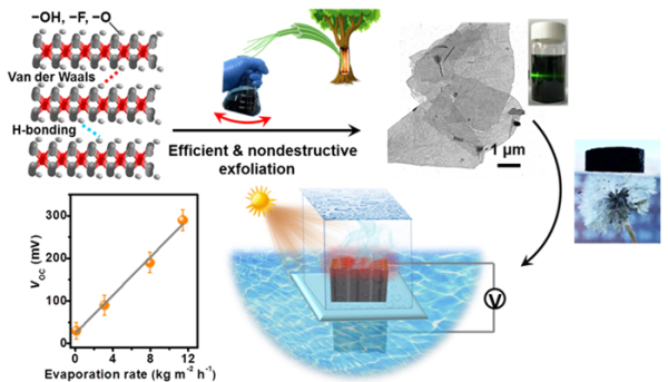 生物质纳米纤维助力MXene纳米片高效剥离及其复合材料的构筑