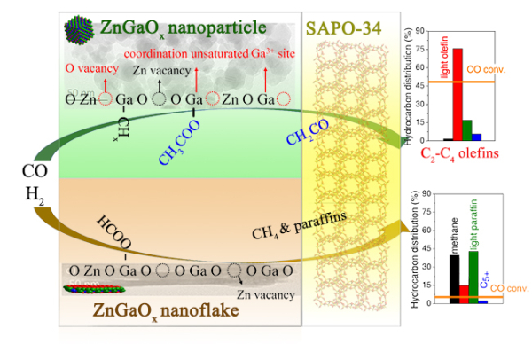 大连化物所揭示合成气转化中金属氧化物表面活性位结构及其催化作用原理 大连化物所揭示合成气转化中金属氧化物表面活性位结构及其催化作用原理