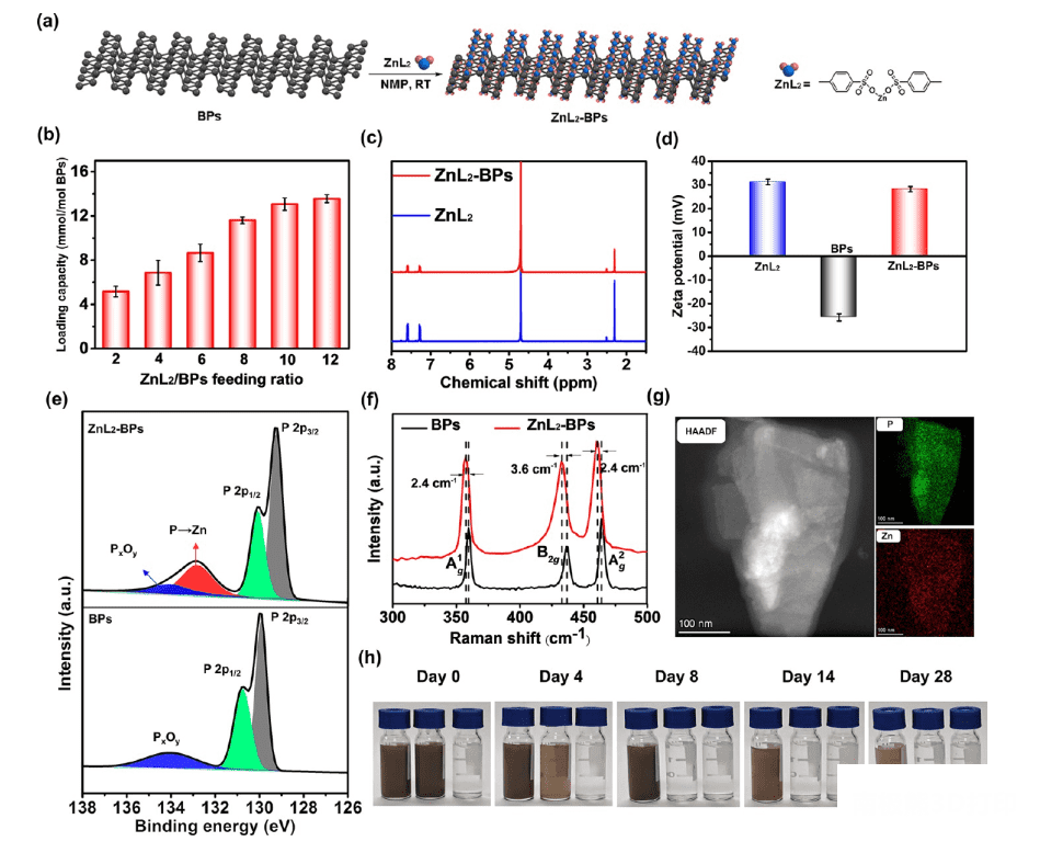 材料表征 材料表征