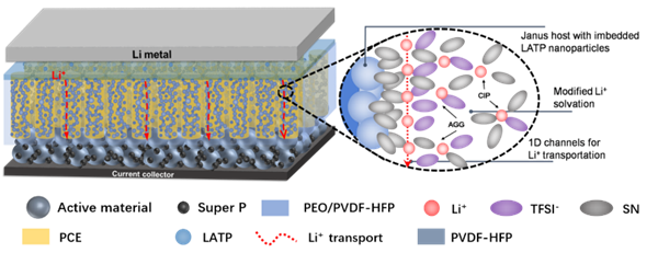JSE电解质的设计示意图