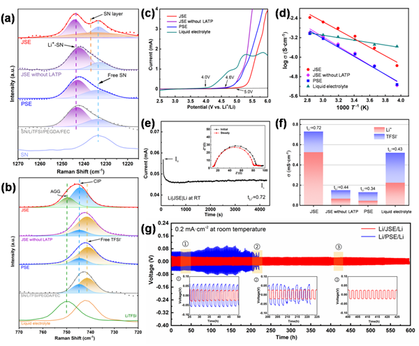 JSE的拉曼光谱与电化学性能表征