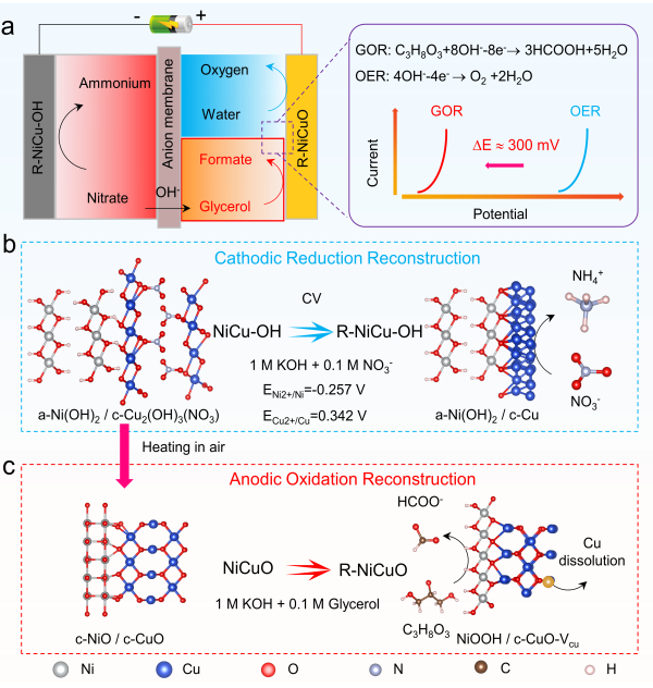 电化学精炼系统及阴阳极催化剂重构示意图