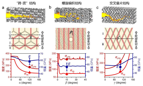 具有不同仿生结构的镁-钛复合材料中的裂纹扩展形貌、结构模型及其强度和模量与特征角度之间的定量关系 具有不同仿生结构的镁-钛复合材料中的裂纹扩展形貌、结构模型及其强度和模量与特征角度之间的定量关系