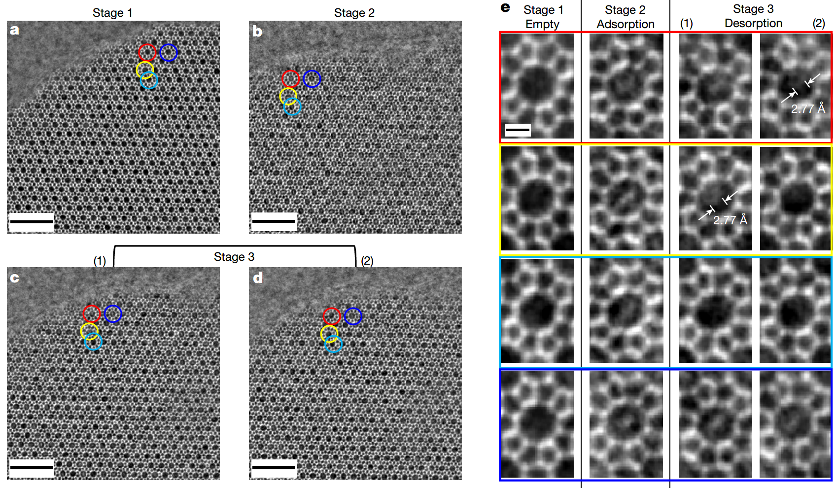 孔道内吡啶分子吸脱附过程的原位成像 孔道内吡啶分子吸脱附过程的原位成像