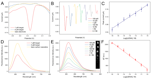 不同浓度目标核酸触发“手拉手”式核酸纳米结构组装的电化学/荧光双模响应及对应的校准曲线 不同浓度目标核酸触发“手拉手”式核酸纳米结构组装的电化学/荧光双模响应及对应的校准曲线
