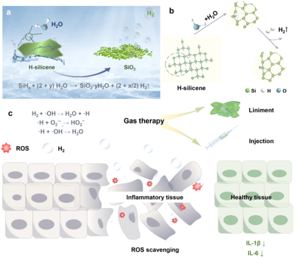 二维氢硅烯纳米片水解制氢抗炎示意图 二维氢硅烯纳米片水解制氢抗炎示意图