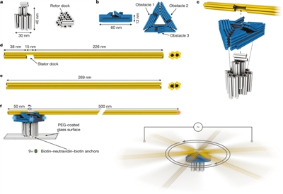 1658716877693223.jpg 首个DNA材料制成的纳米马达面世.jpg