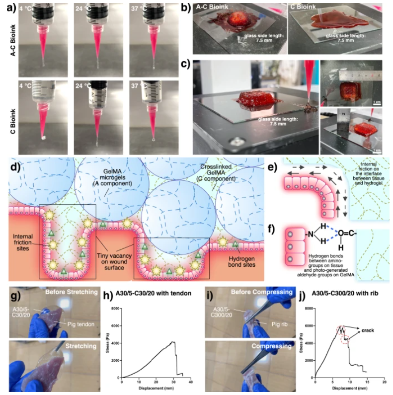 原位可打印性及打印体/组织结合力