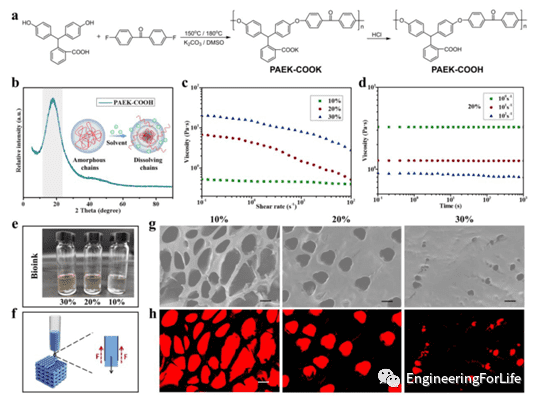 PAEK-COOH 的合成和生物墨水的可印刷性 PAEK-COOH 的合成和生物墨水的可印刷性