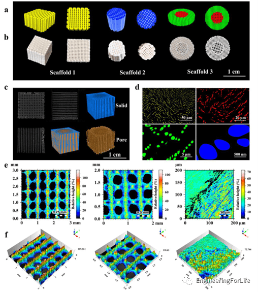 从宏观到微观尺度的 3D 打印多孔支架结构 从宏观到微观尺度的 3D 打印多孔支架结构