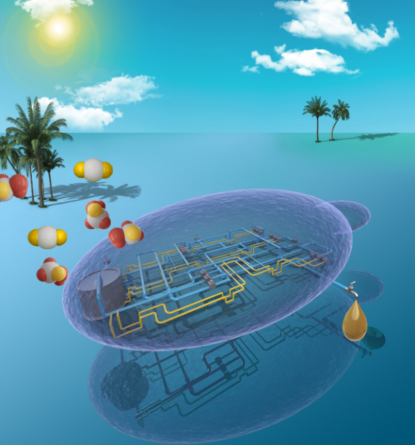 大连化物所实现甲醇生物转化高效合成脂肪酸衍生物 大连化物所实现甲醇生物转化高效合成脂肪酸衍生物