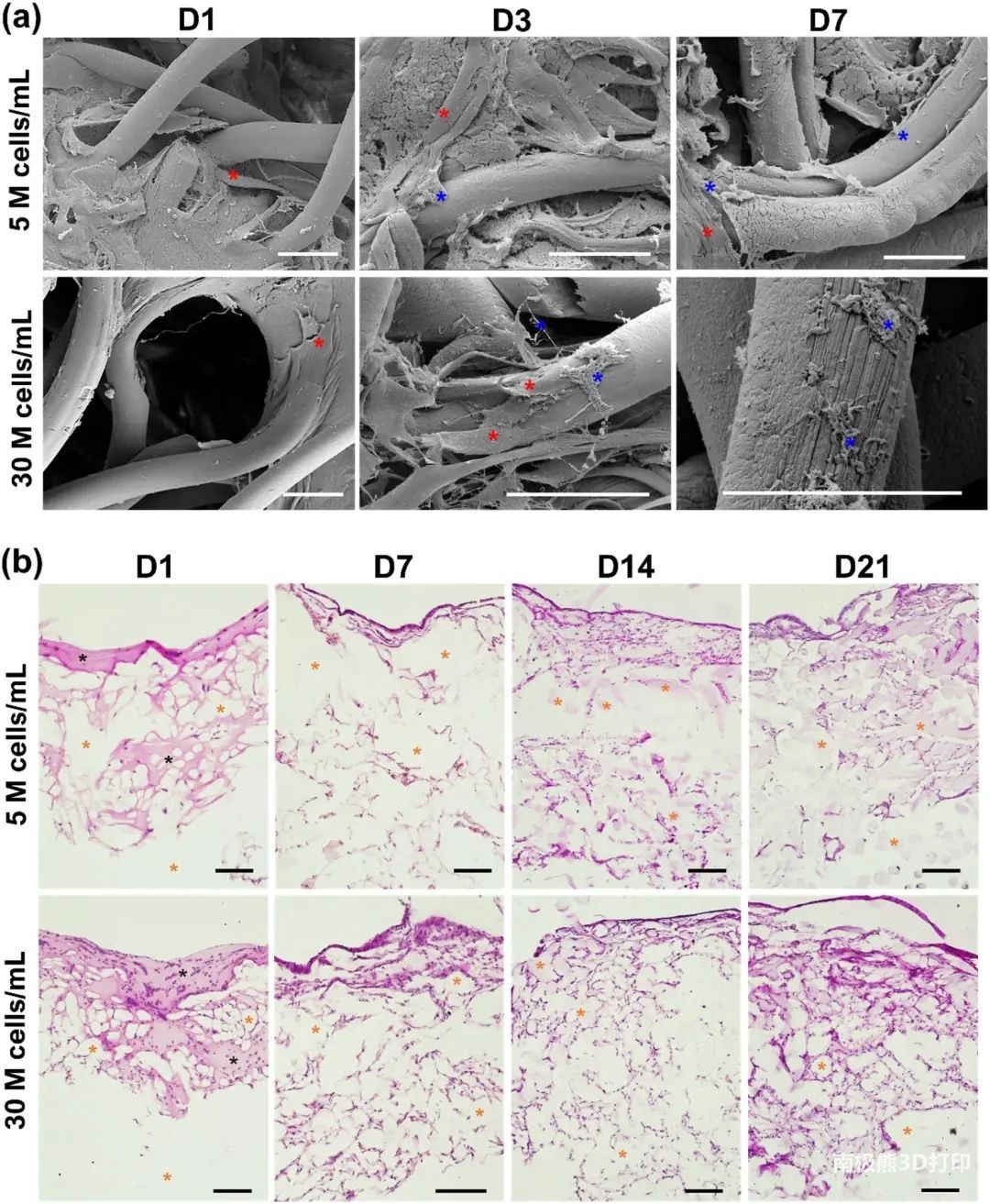 基于液滴生物打印制造细胞-水凝胶-微纤维复合组织前体
