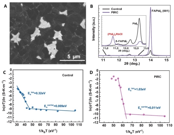 半导体所高效稳定钙钛矿太阳能电池研究获进展 半导体所高效稳定钙钛矿太阳能电池研究获进展