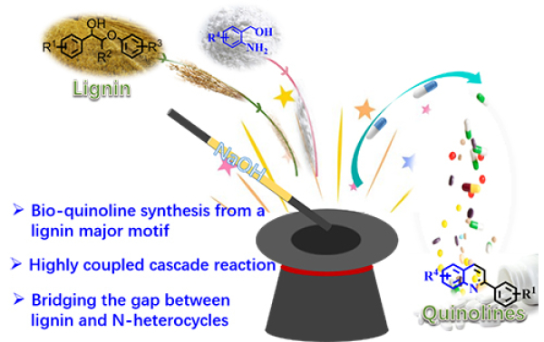 大连化物所等实现木质素基喹啉衍生物的定向制备