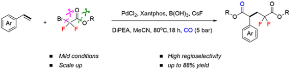 大连化物所利用钯催化剂实现芳基烯烃的二氟烷基化羰基化合成二氟戊二酸酯类化合物 大连化物所利用钯催化剂实现芳基烯烃的二氟烷基化羰基化合成二氟戊二酸酯类化合物