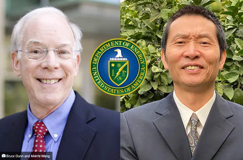 Bruce Dunn和Morris Wang