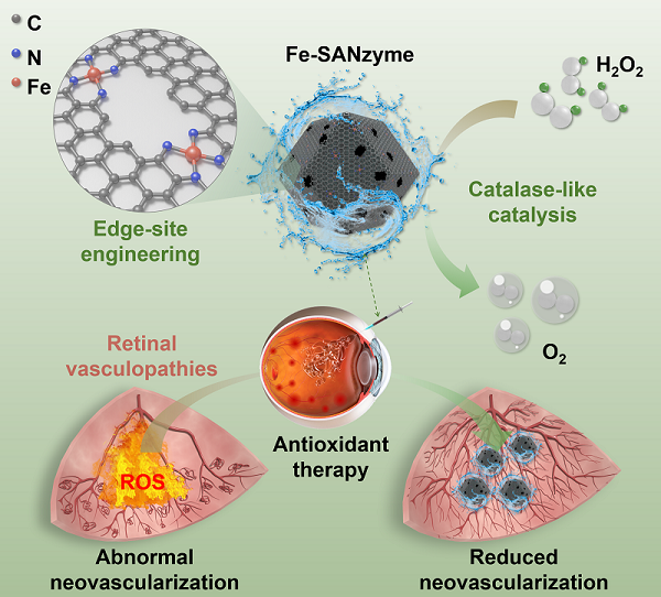 缺陷工程化高活性过氧化氢纳米酶用于眼底新生血管疾病治疗 缺陷工程化高活性过氧化氢纳米酶用于眼底新生血管疾病治疗