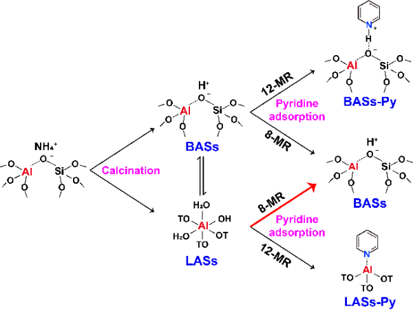 大连化物所揭示分子筛中铝配位的动态演变规律 大连化物所揭示分子筛中铝配位的动态演变规律
