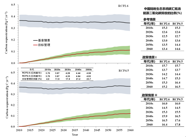 植物所等在未来中国陆地碳汇及其抵消能源二氧化碳排放研究中取得进展 植物所等在未来中国陆地碳汇及其抵消能源二氧化碳排放研究中取得进展