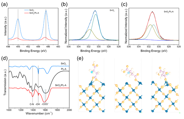 金属所等在钙钛矿太阳能电池埋底界面钝化研究中获进展