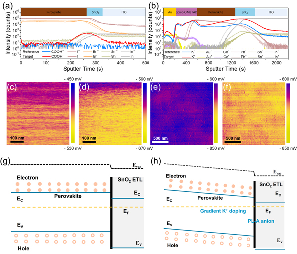 金属所等在钙钛矿太阳能电池埋底界面钝化研究中获进展