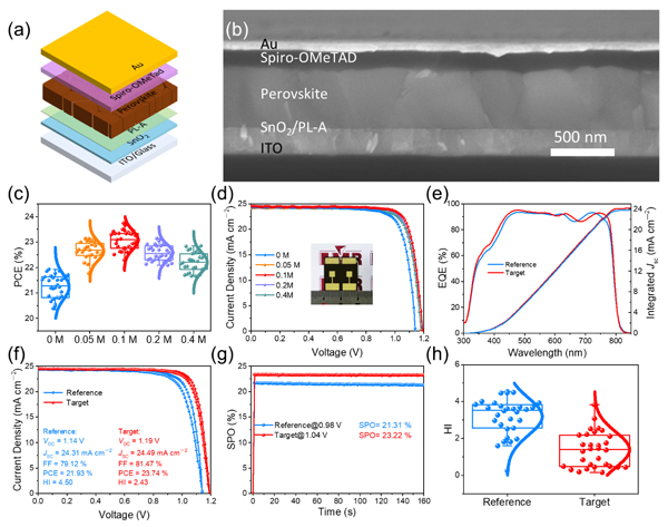 钙钛矿太阳能电池器件的结构示意图