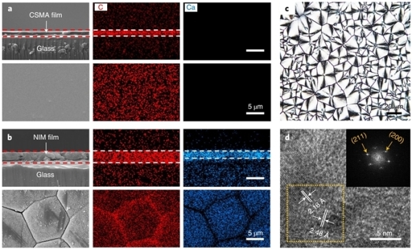仿珍珠层矿化薄膜的结构表征 仿珍珠层矿化薄膜的结构表征