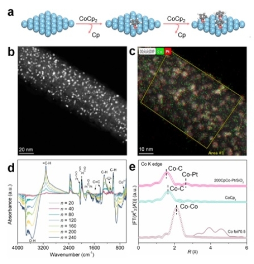 催化剂制备过程示意图、表面形貌和结构 催化剂制备过程示意图、表面形貌和结构