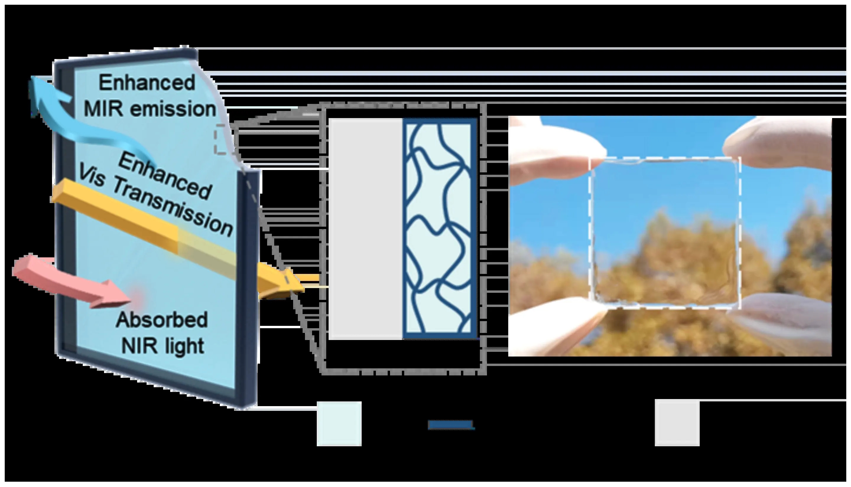 科学家开发新水凝胶玻璃