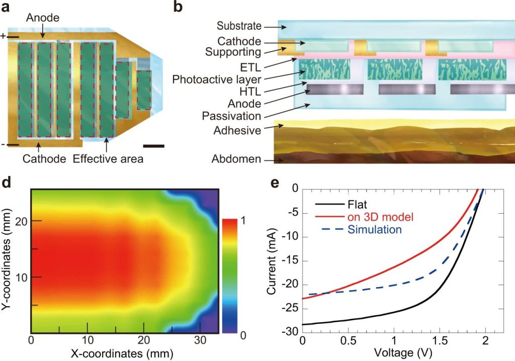 该团队提到的有机太阳能电池模块结构