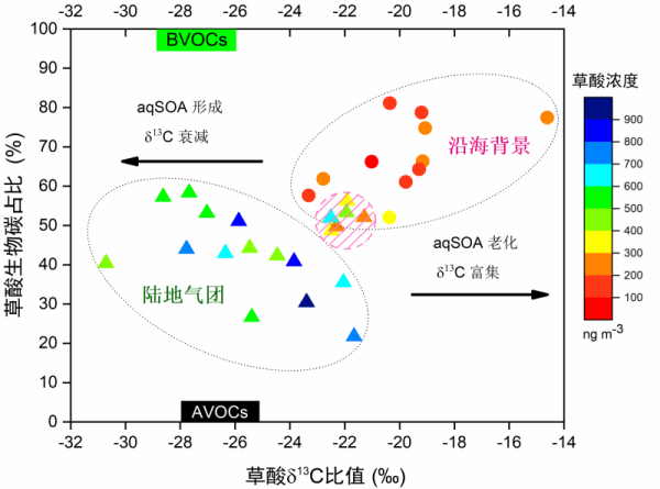 沿海背景和大陆气团中草酸的二维双碳同位素(δ13C、Δ14C/Fm)特征 沿海背景和大陆气团中草酸的二维双碳同位素(δ13C、Δ14C/Fm)特征