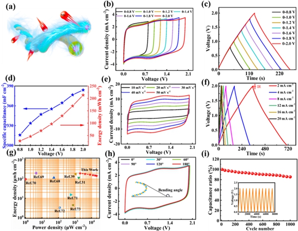 FAASC器件电化学性能测试