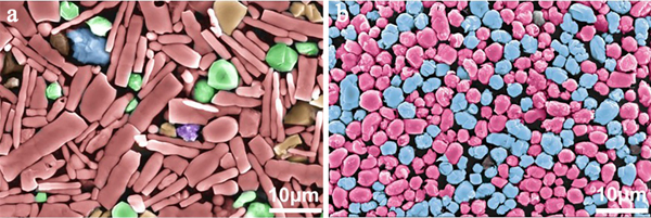 某进口轴承钢（a）与双低氧稀土轴承钢（b）中的夹杂物对比