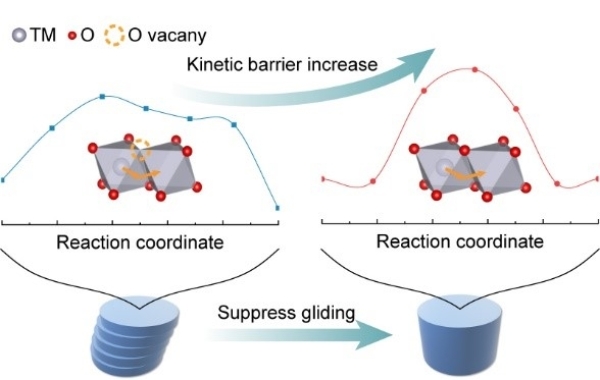 氧空位影响层状过渡金属氧化物正极平面滑移的动力学机制示意图 氧空位影响层状过渡金属氧化物正极平面滑移的动力学机制示意图
