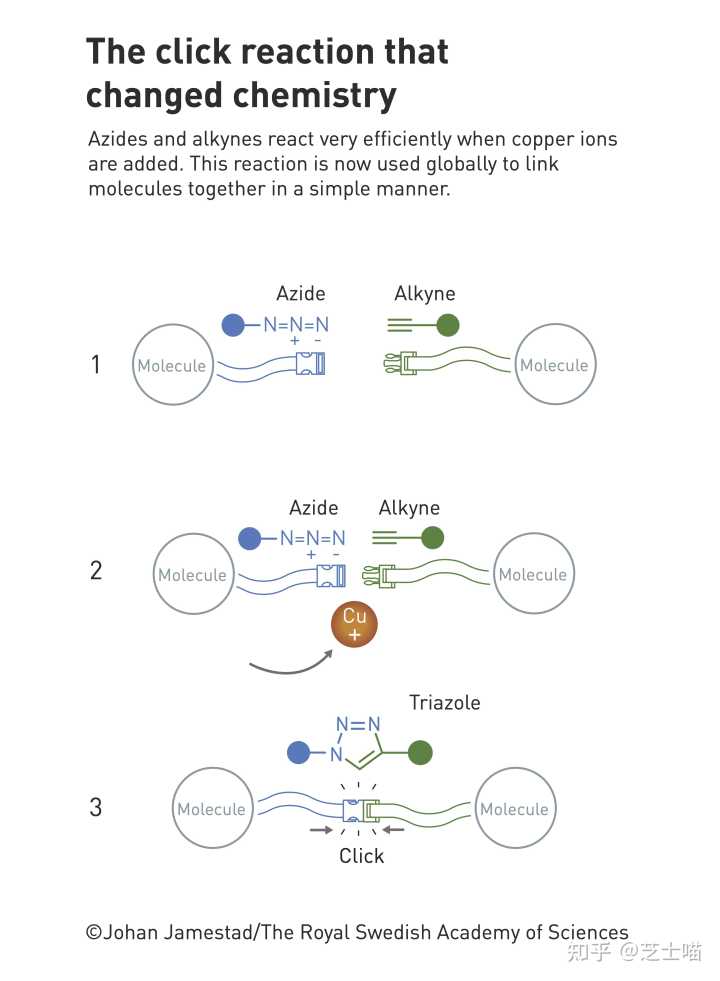 2022年诺贝尔化学奖揭晓 2022年诺贝尔化学奖揭晓